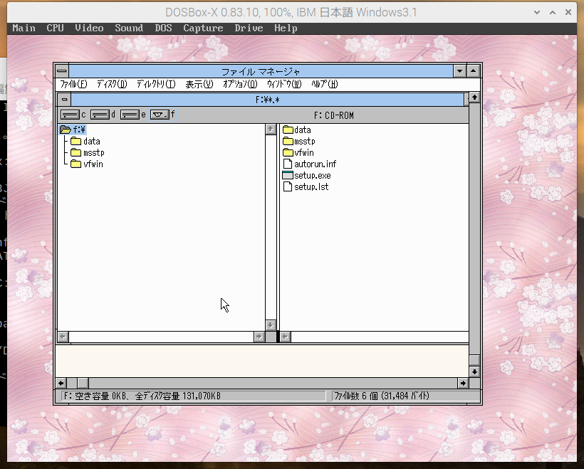 L-ZONE の CD